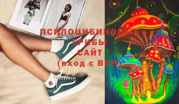 дурь Алексин