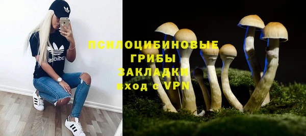 ПСИЛОЦИБИНОВЫЕ ГРИБЫ Алзамай