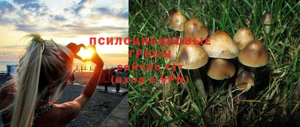 ПСИЛОЦИБИНОВЫЕ ГРИБЫ Алзамай