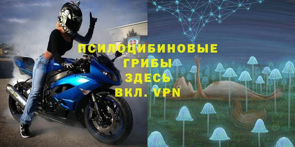 ПСИЛОЦИБИНОВЫЕ ГРИБЫ Алзамай