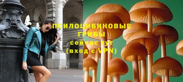 дурь Алексин