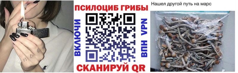 Галлюциногенные грибы ЛСД  Алзамай 